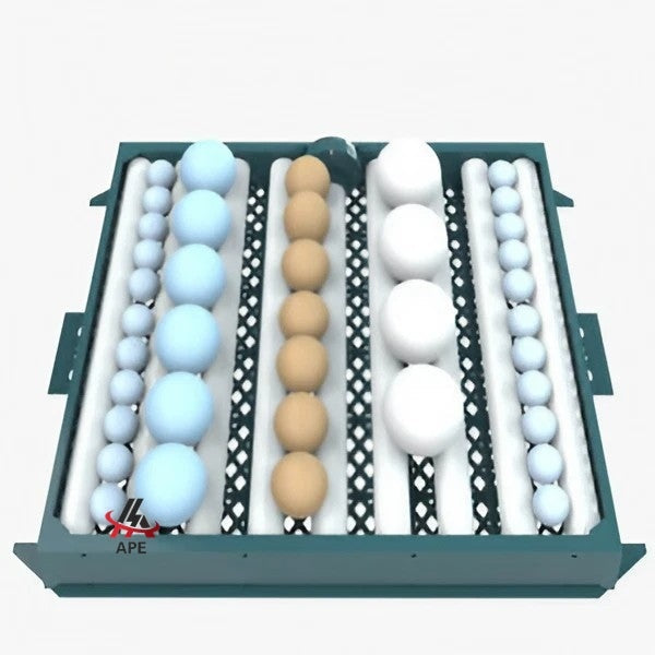 Egg Incubator and Hatcher - Automatic