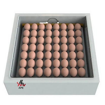 Egg Incubator and Hatcher Small - Automatic